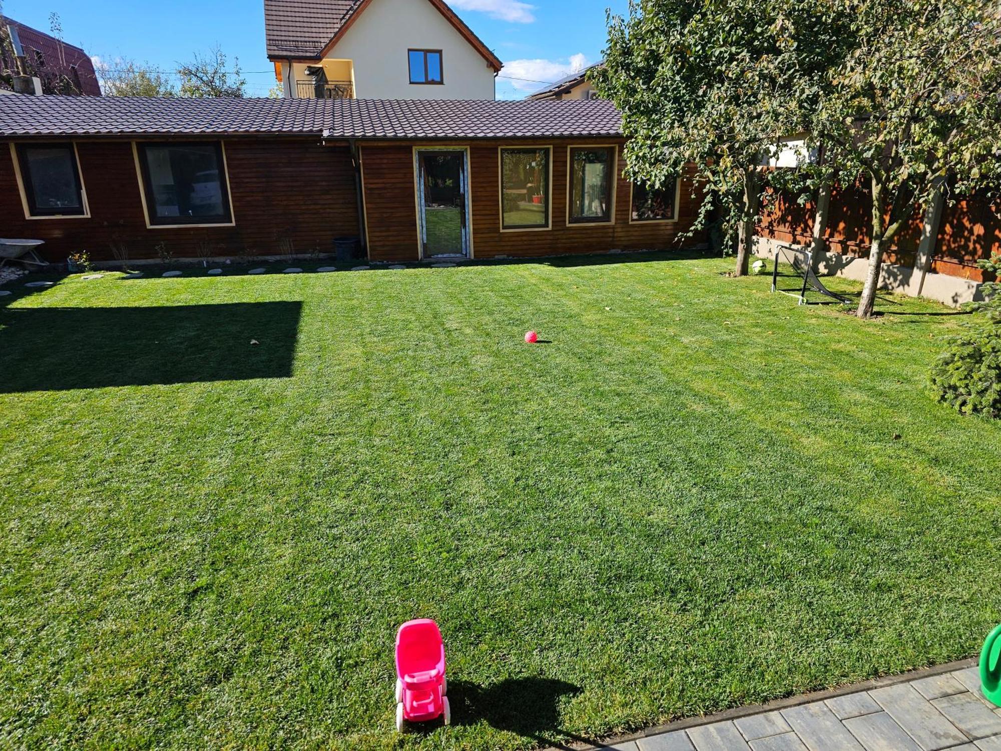 Arbor Inn Brassó Kültér fotó